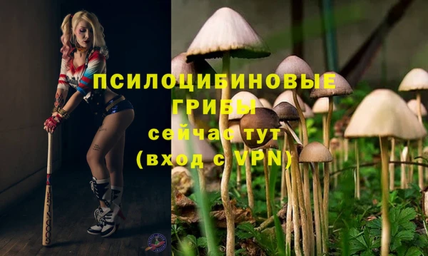 метадон Бронницы