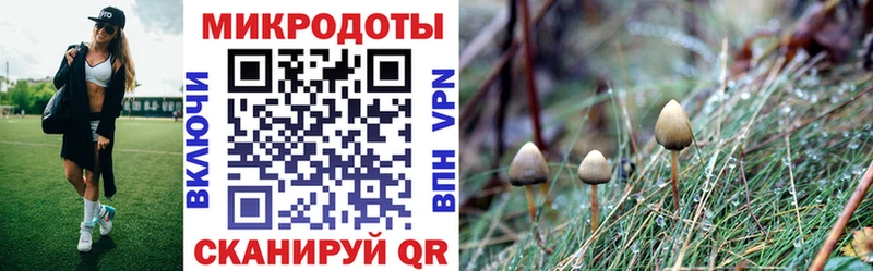 Купить закладки  Моздок  Псилоцибиновые грибы мицелий 